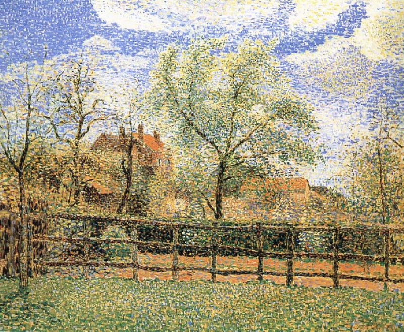 Camille Pissarro Pear trees bloom in the morning oil painting picture